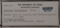 Image Associated With the Occurence